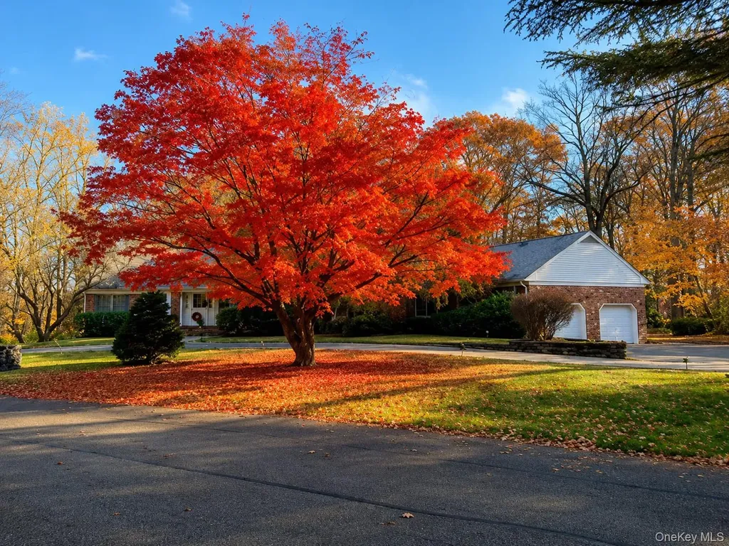 16 Carolyn Place Armonk NY 10504