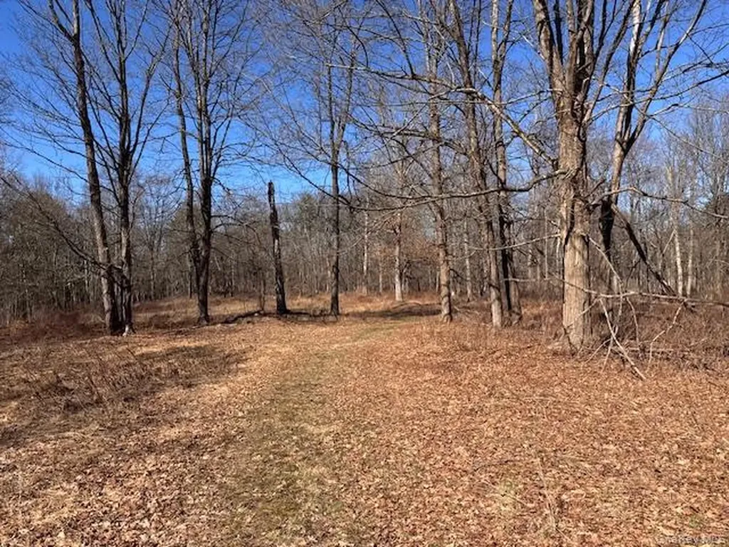 37-43 Nine Partners Road Clinton Corners NY 12514