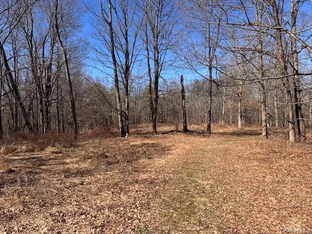 37-43 Nine Partners Road Clinton Corners NY 12514