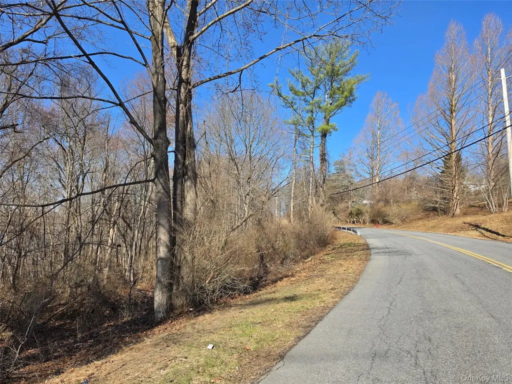 6 Willow Road Carmel NY 10512