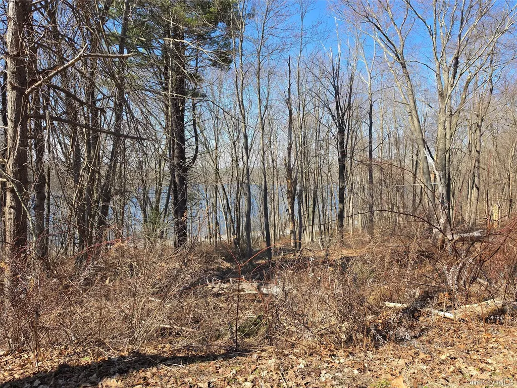 6 Willow Road Carmel NY 10512