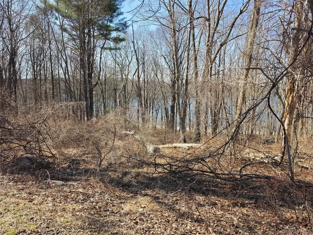 6 Willow Road Carmel NY 10512