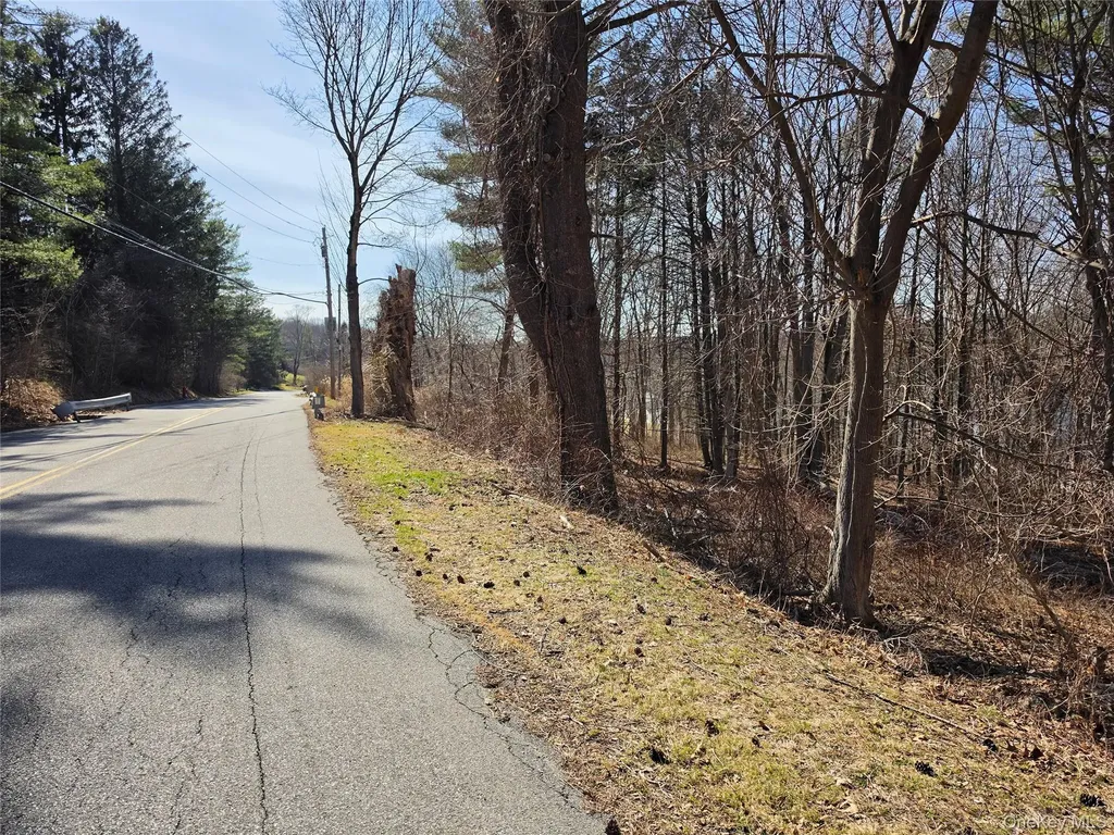 6 Willow Road Carmel NY 10512