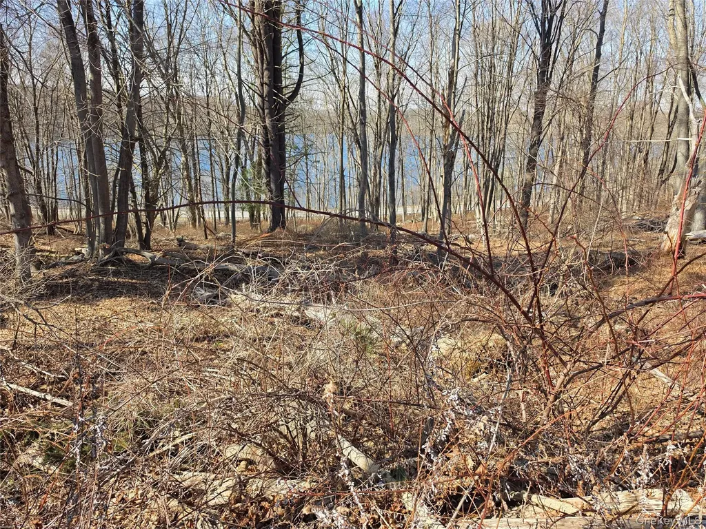 6 Willow Road Carmel NY 10512