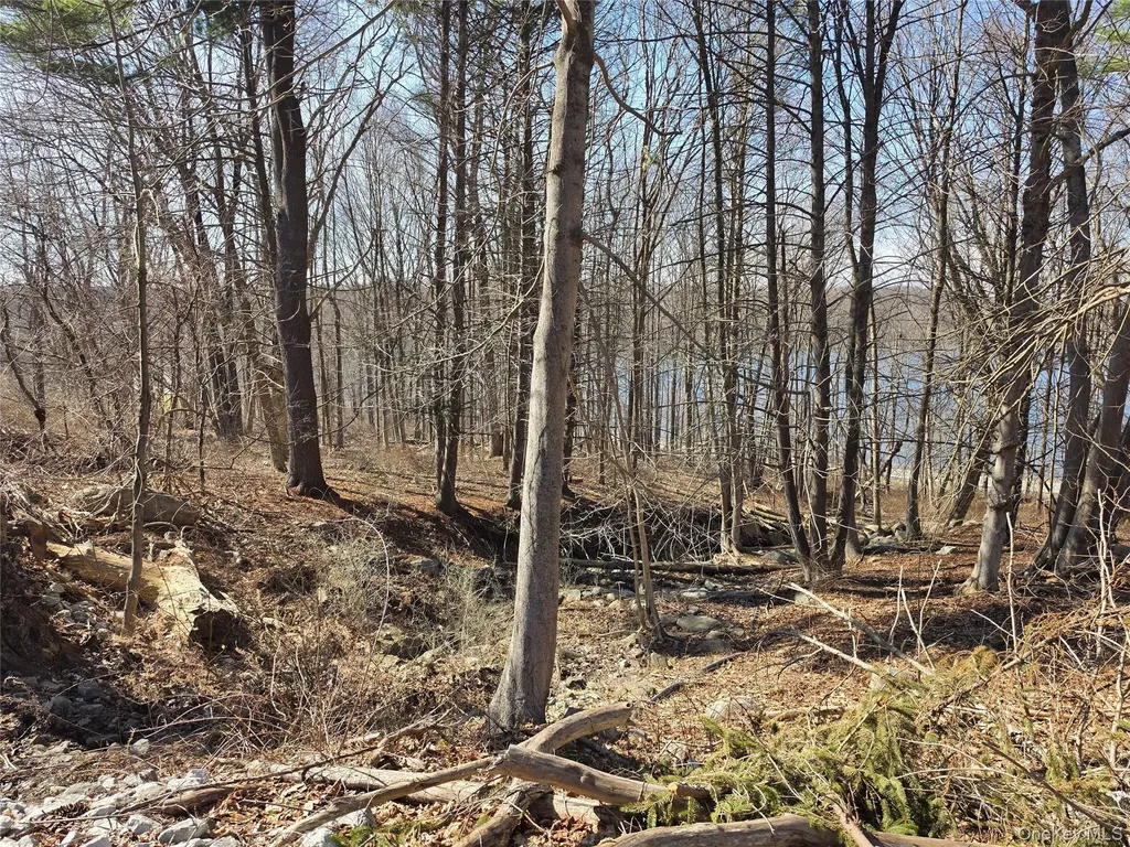 6 Willow Road Carmel NY 10512