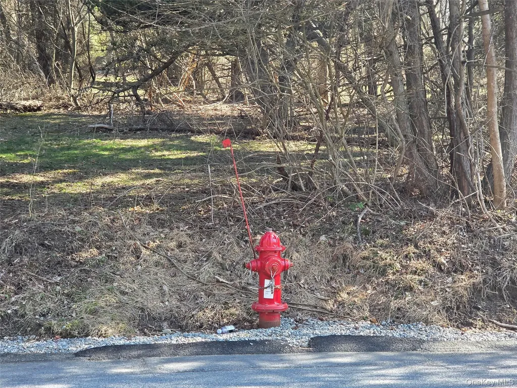 6 Willow Road Carmel NY 10512