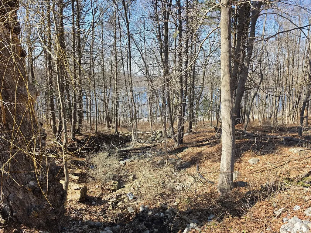 6 Willow Road Carmel NY 10512