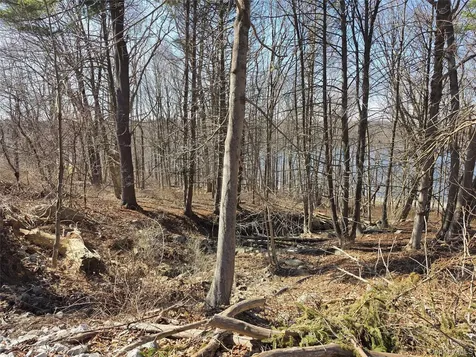 6 Willow Road Carmel NY 10512