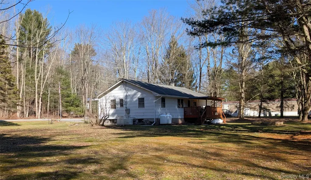 47 Forman Road Cochecton NY 12726