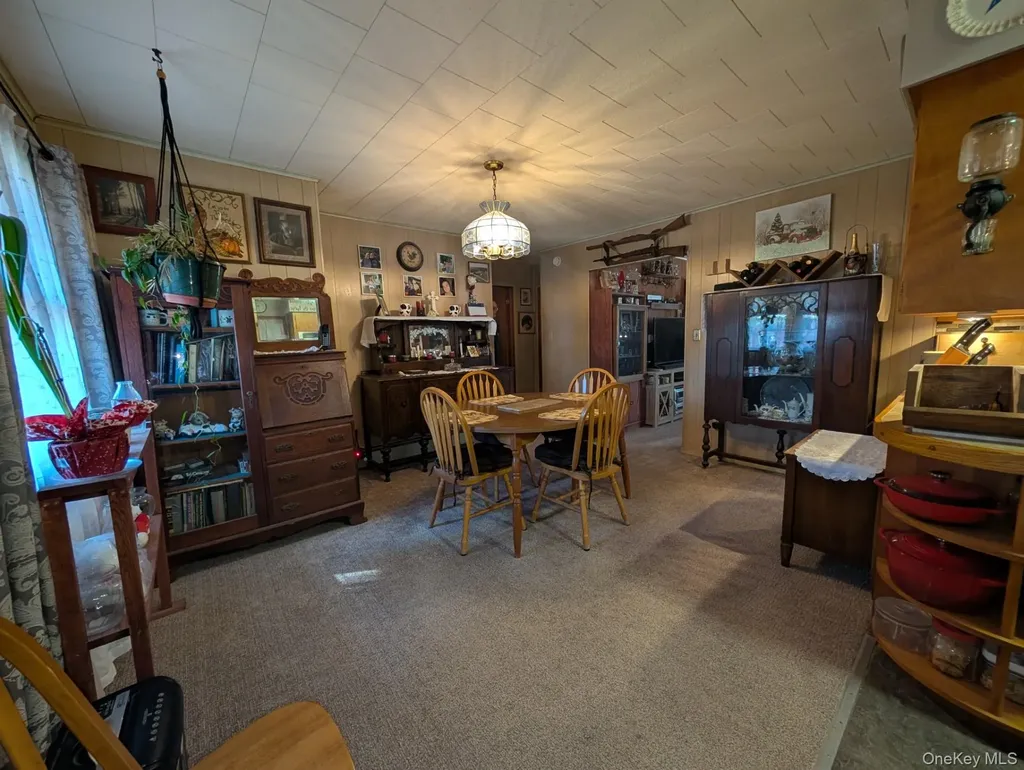 47 Forman Road Cochecton NY 12726