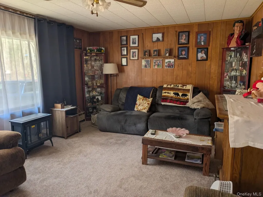 47 Forman Road Cochecton NY 12726