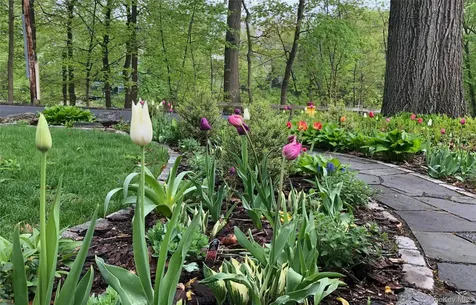 116 Potter Road Scarsdale NY 10583