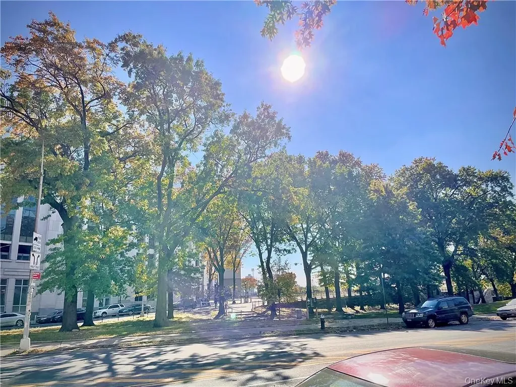 941 Jerome Avenue Bronx NY 10452