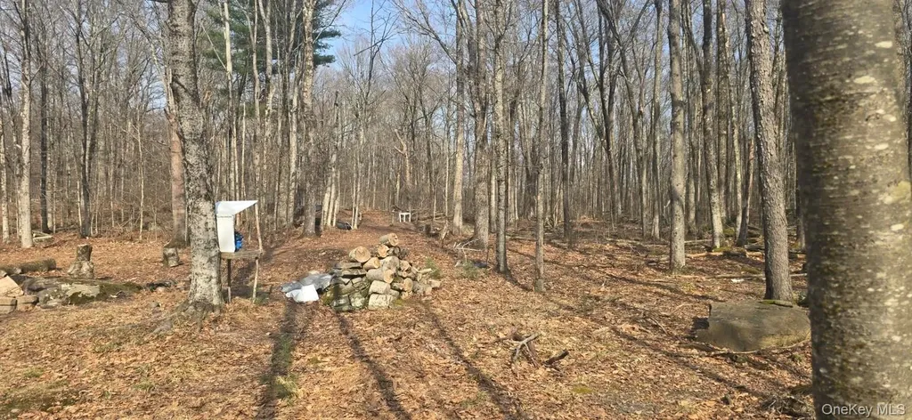 8 Starlight Drive Monticello NY 12701