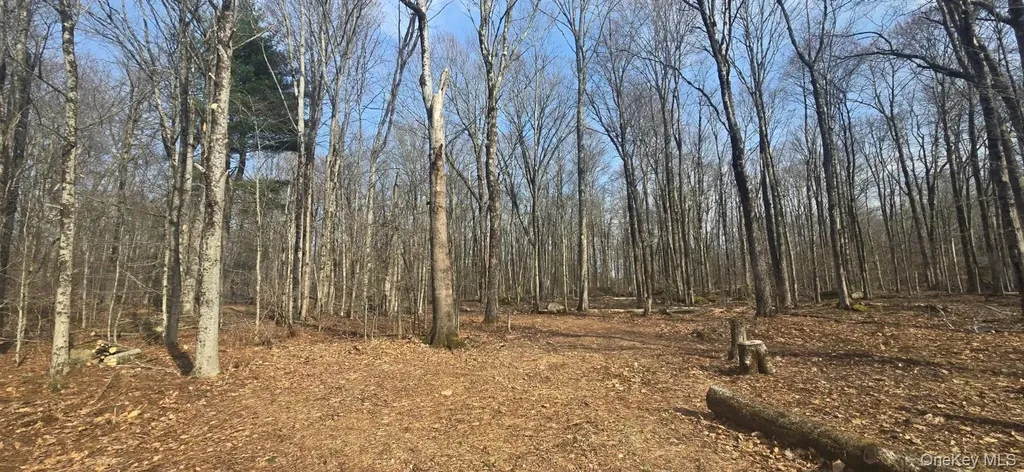 8 Starlight Drive Monticello NY 12701