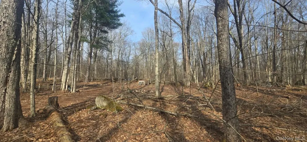 8 Starlight Drive Monticello NY 12701