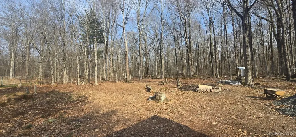 8 Starlight Drive Monticello NY 12701