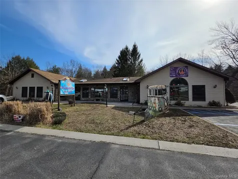951 RT-17B Mongaup Valley NY 12762
