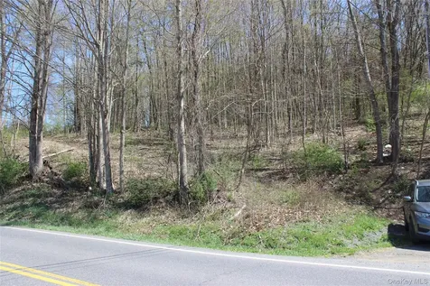 0 Old State Route 22 Amenia NY 12501