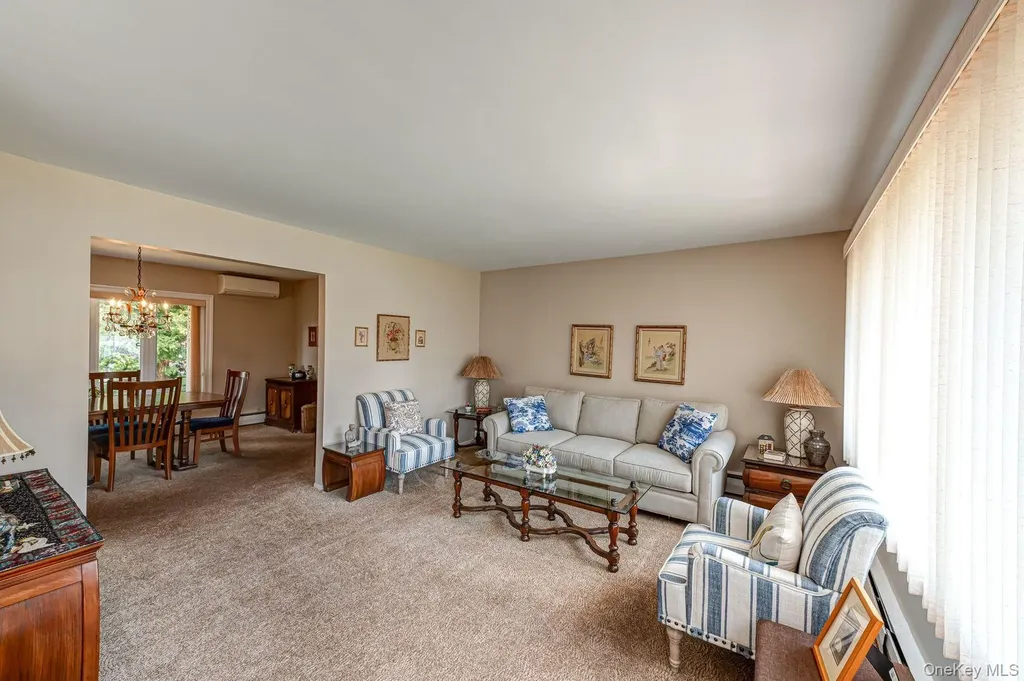10 Wallace Drive Plainview NY 11803