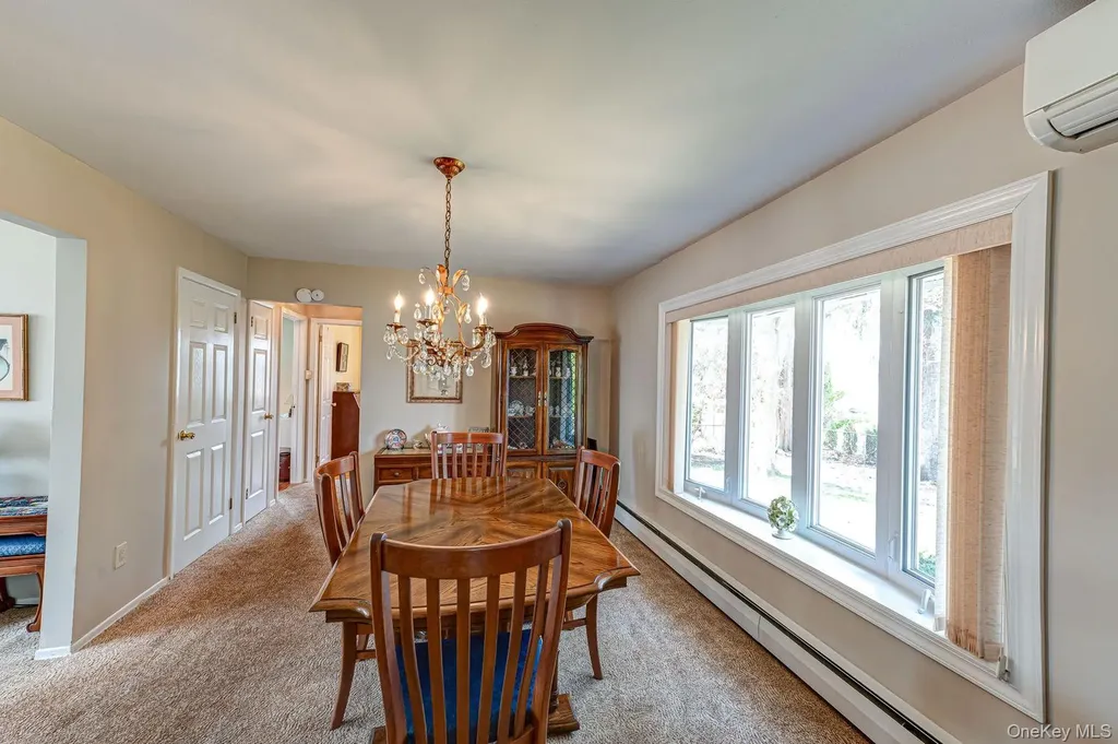 10 Wallace Drive Plainview NY 11803