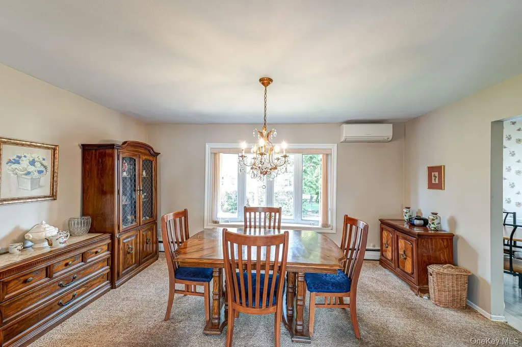 10 Wallace Drive Plainview NY 11803