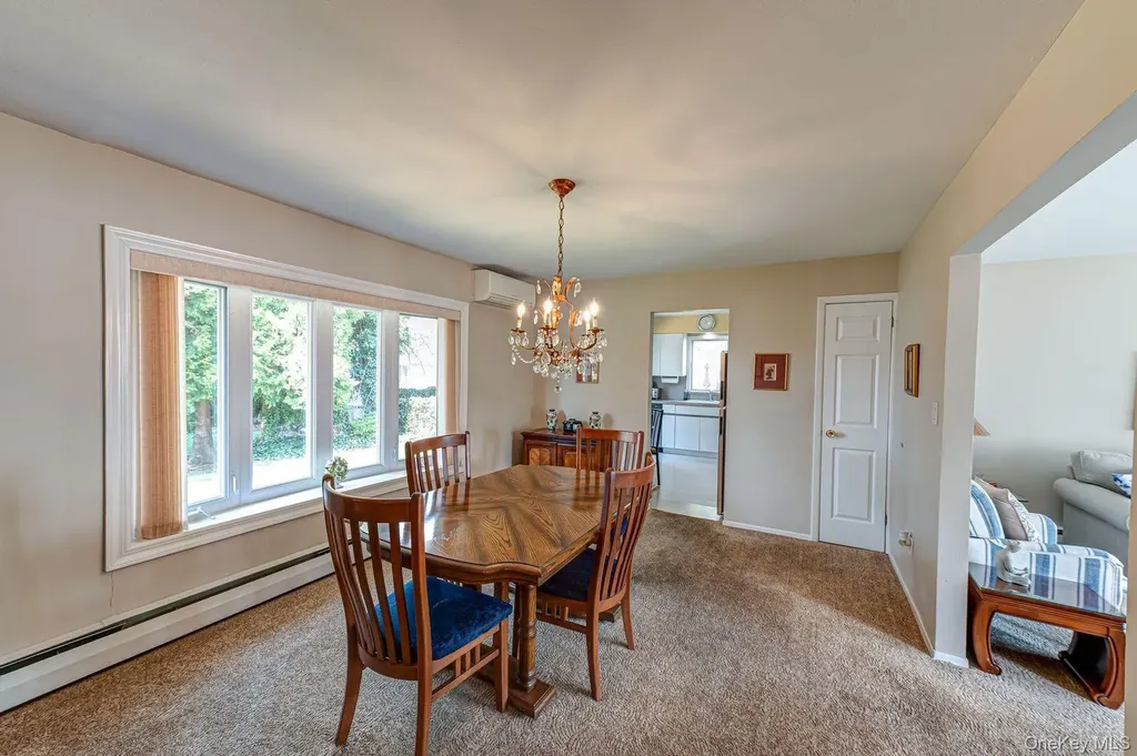 10 Wallace Drive Plainview NY 11803