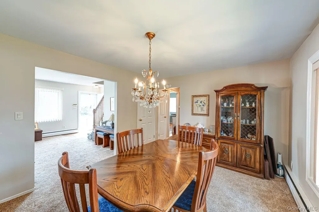 10 Wallace Drive Plainview NY 11803