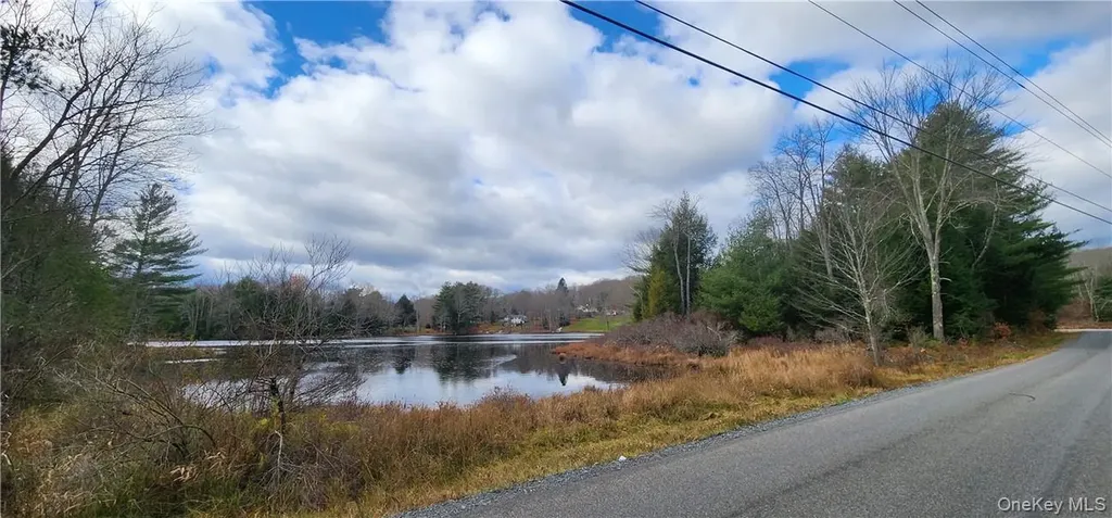 Mongaup Road Monticello NY 12701