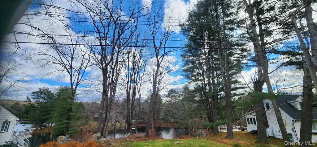Mongaup Road Monticello NY 12701
