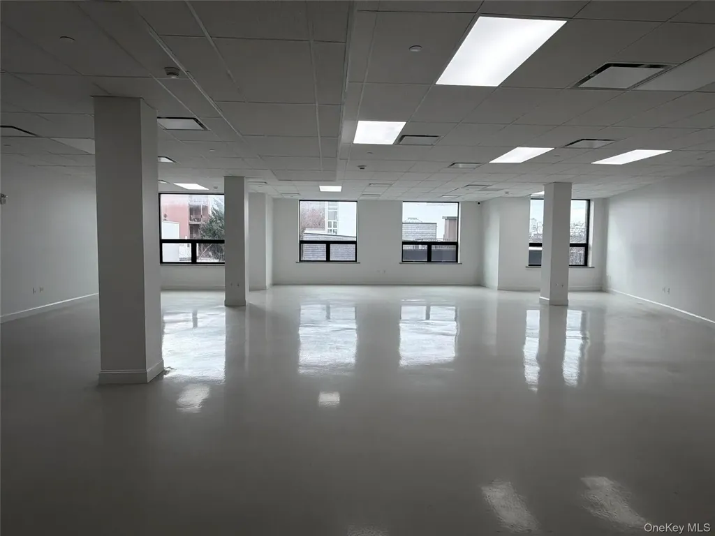 14 Olive Street Brooklyn NY 11211