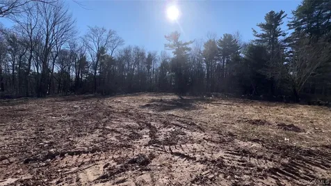 107 Pinewood Road Cochecton NY 12726