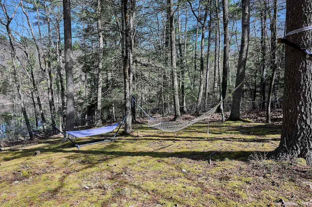 39 Pitio Road Glen Spey NY 12737