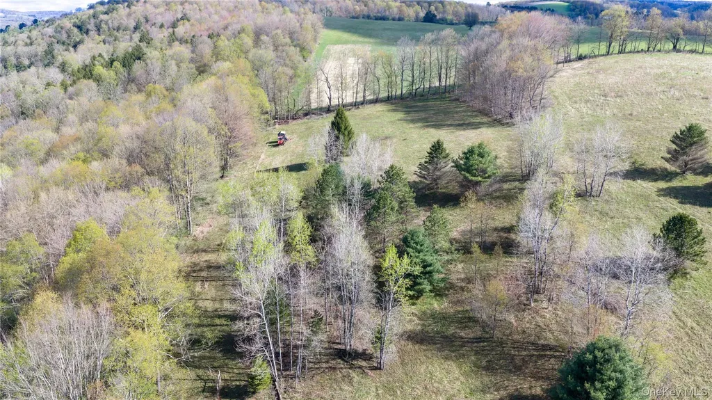 7779 South Hamilton Other NY 13332