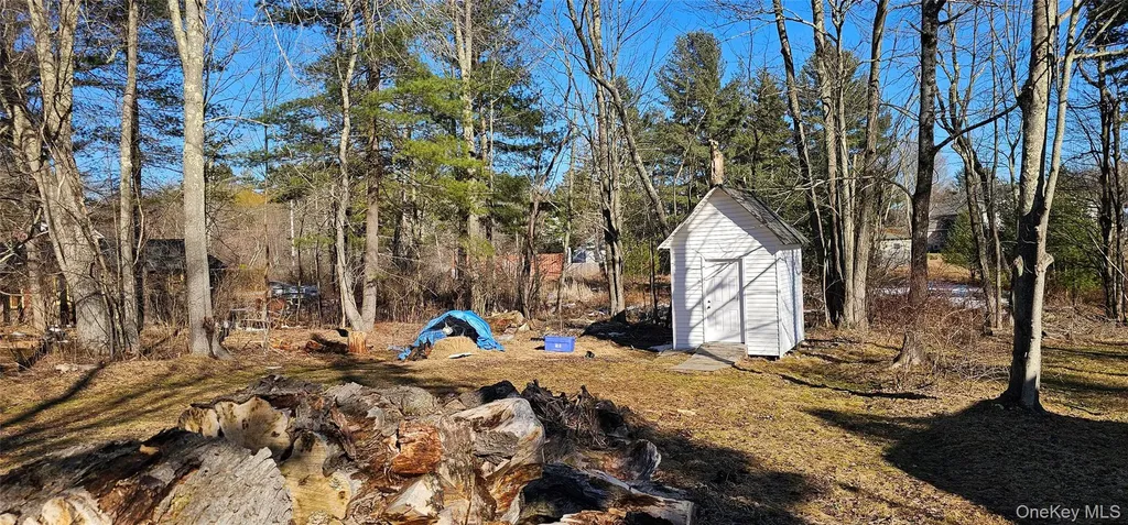 8 Central Avenue White Lake NY 12786