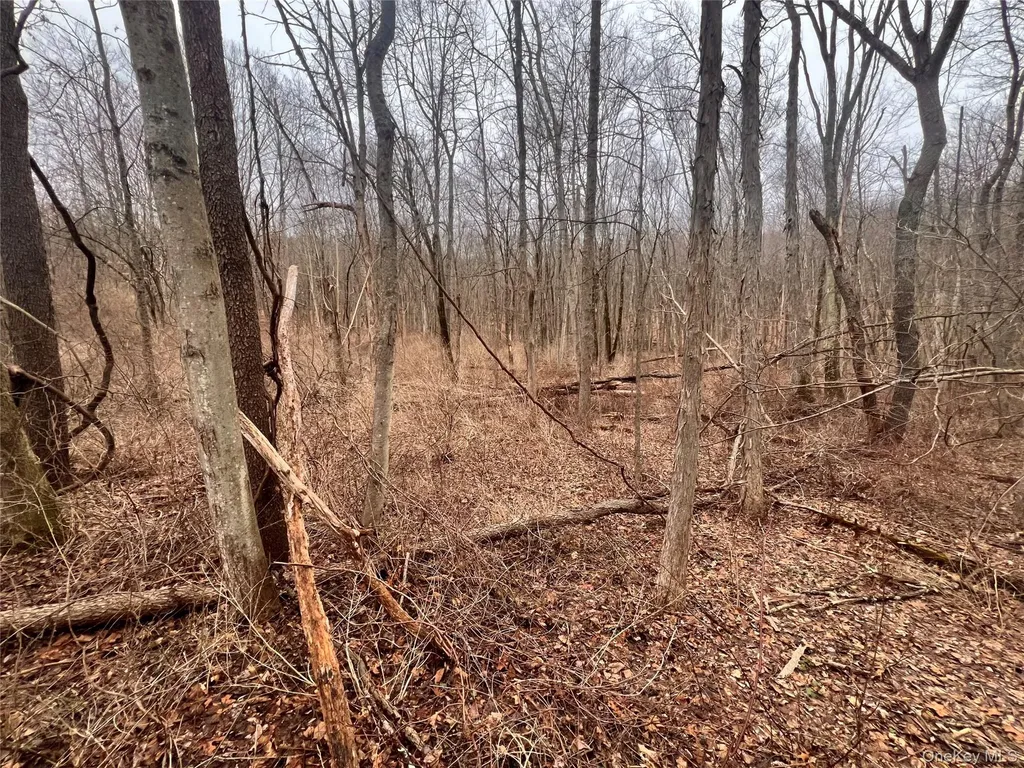 2413 Route 44 Salt Point NY 12578