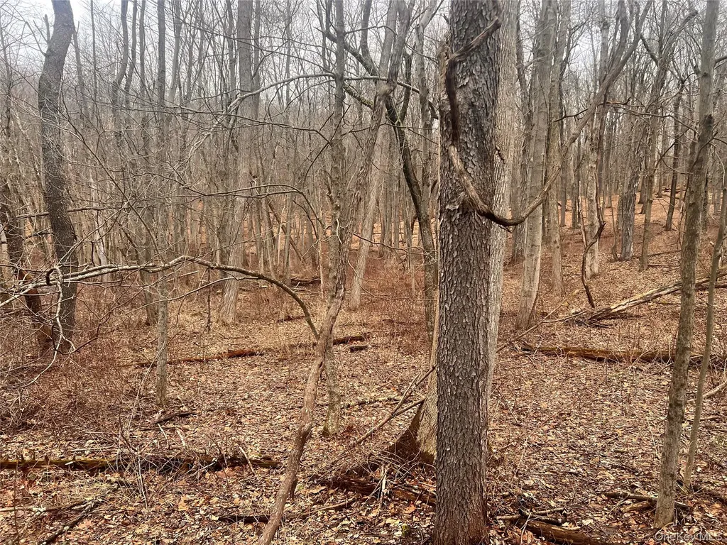 2413 Route 44 Salt Point NY 12578