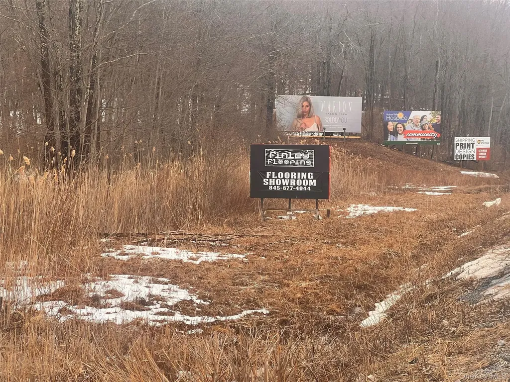 2413 Route 44 Salt Point NY 12578