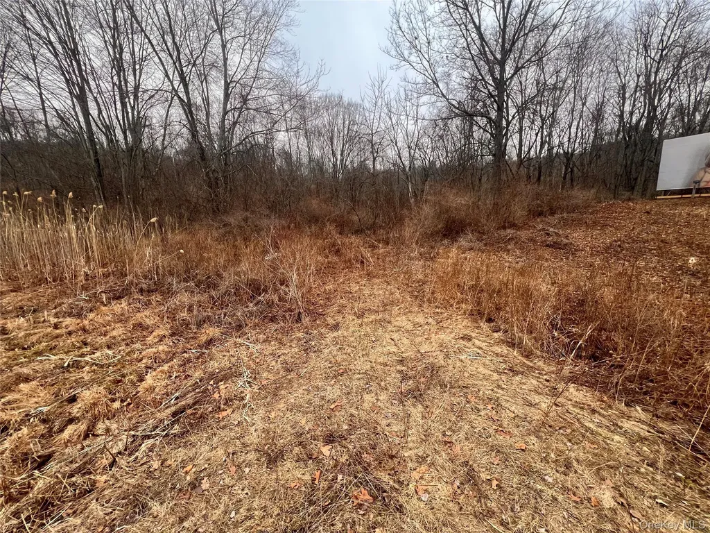 2413 Route 44 Salt Point NY 12578