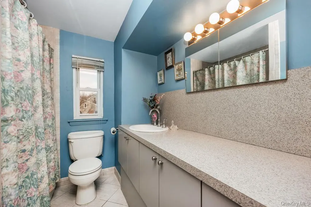 15 Elaine Place Plainview NY 11803