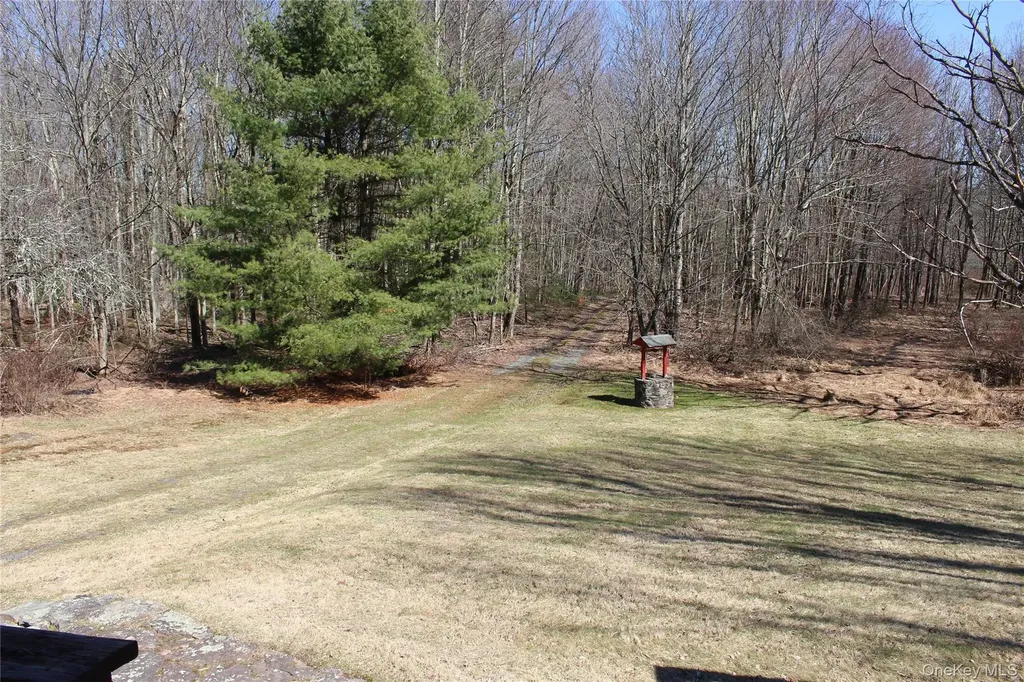 154 Britman Road Mongaup Valley NY 12762