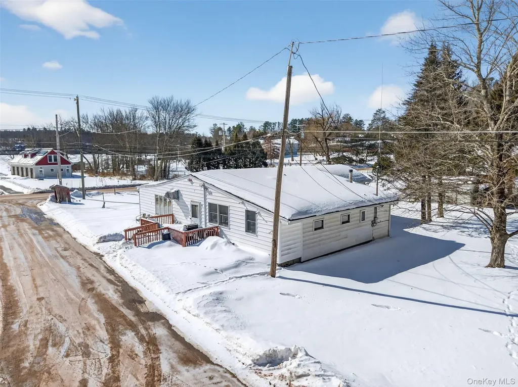 3 Cooper Drive Kauneonga Lake NY 12720