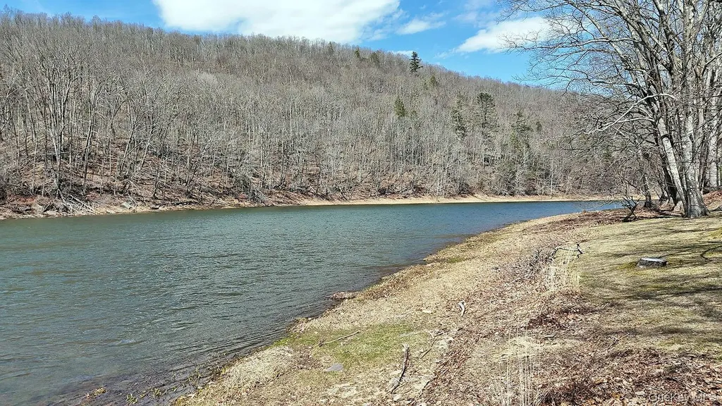 860 River Road Callicoon NY 12723