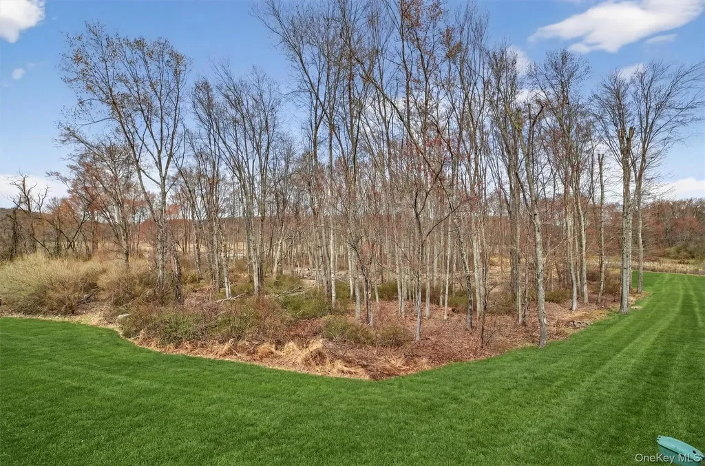 44 Spring Meadow Court Somers NY 10589