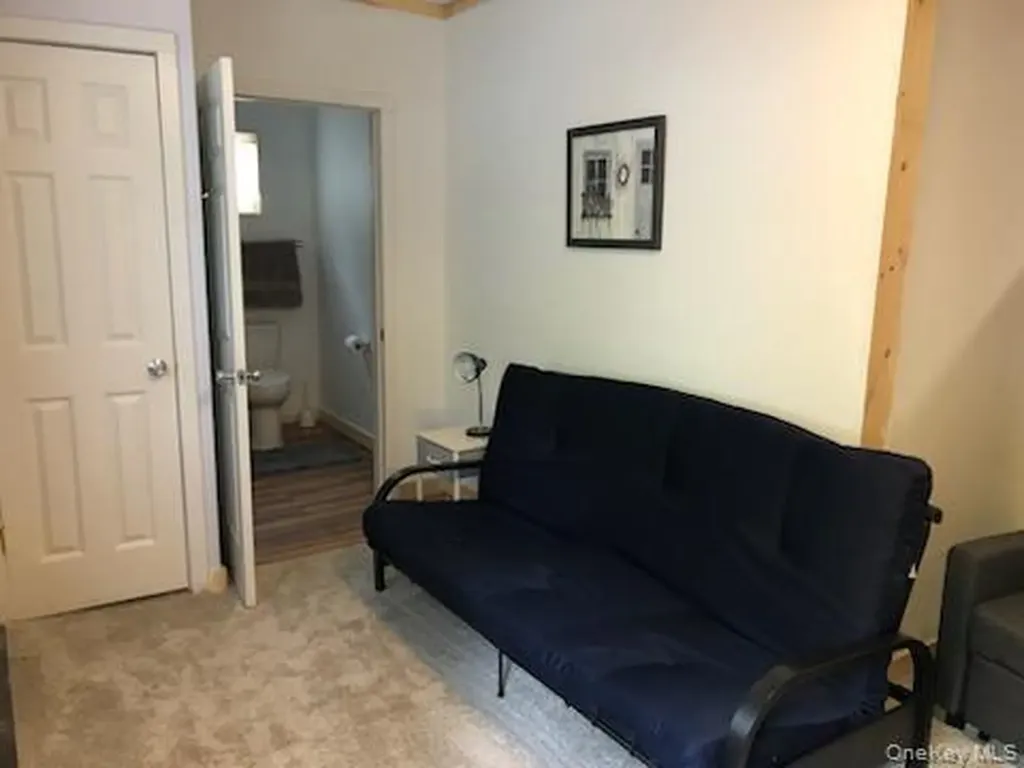 6696 Rt-52 Cochecton NY 12726