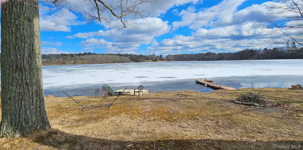 6696 Rt-52 Cochecton NY 12726