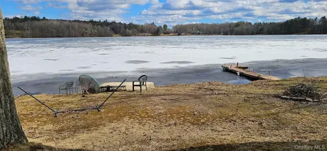 6696 Rt-52 Cochecton NY 12726