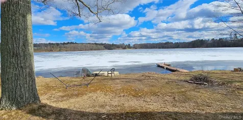 6696 Rt-52 Cochecton NY 12726