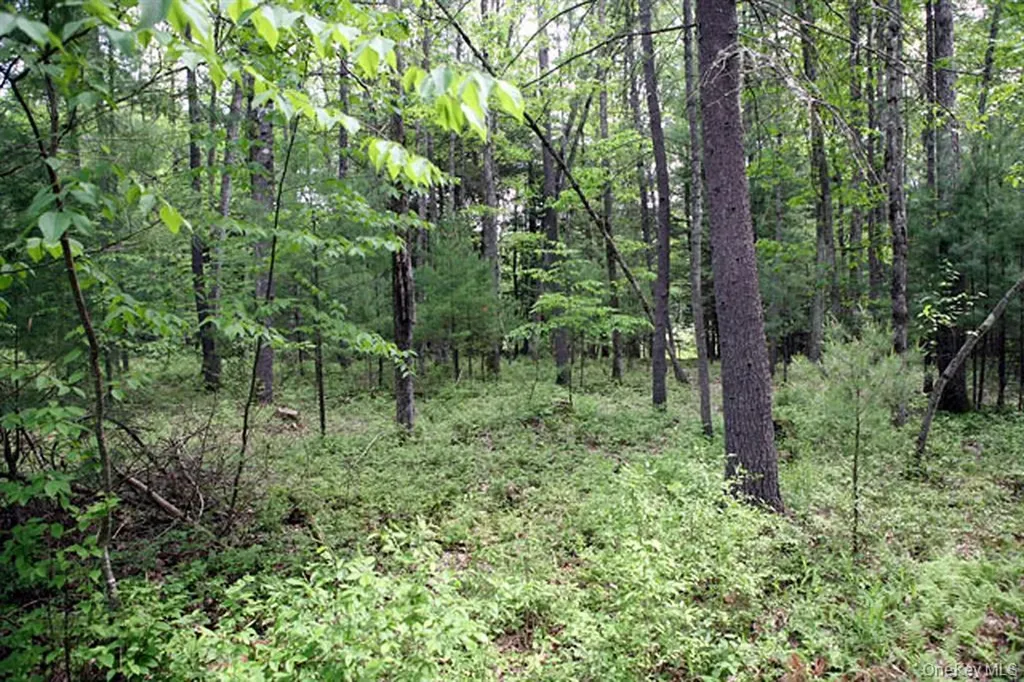 Country Road Callicoon NY 12723