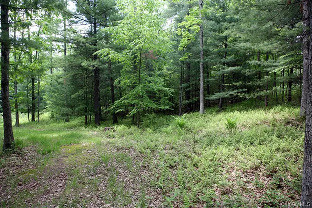 Country Road Callicoon NY 12723